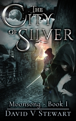 The City of Silver by David V. Stewart