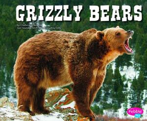 Grizzly Bears by Molly Kolpin