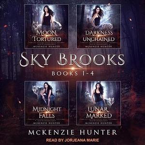 Sky Brooks Series #1-4 by McKenzie Hunter
