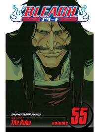 Bleach, Vol. 55: The Blood Warfare by Tite Kubo