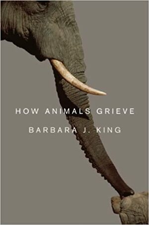 Hayvanlar Nasıl Yas Tutar? by Barbara J. King