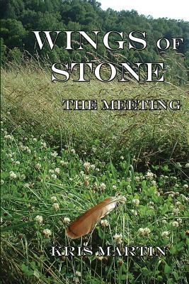 Wings of Stone - The Meetings by Kris Martin
