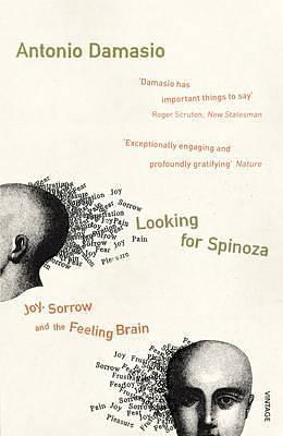 Looking for Spinoza: Joy, Sorrow and the Feeling Brain by António Damásio, António Damásio