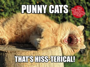 The Meme-ing of Life: Punny Cats: That's Hiss-terical by Hardie Grant Egmont