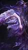 mirievie's profile picture