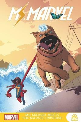Ms. Marvel Meets the Marvel Universe by Mark Waid, G. Willow Wilson, G. Willow Wilson, Amy Reeder