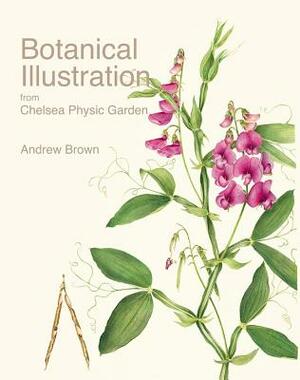 Botanical Illustration from Chelsea Physic Garden by Andrew Brown