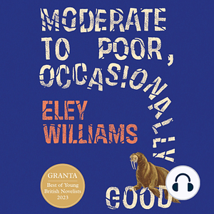 Moderate to Poor, Occasionally Good by Eley Williams