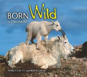 Born Wild in Colorado by Wendy Shattil, Bob Rozinski