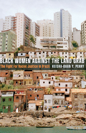 Black Women against the Land Grab: The Fight for Racial Justice in Brazil by Keisha-Khan Y. Perry