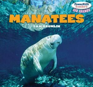 Manatees by Sam Drumlin