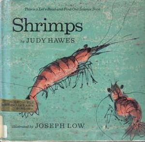 Shrimps by Judy Hawes