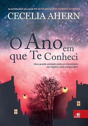 O Ano Em Que Te Conheci by Cecelia Ahern