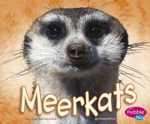 Meerkat by Jody S. Rake