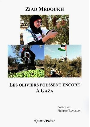 Les oliviers poussent encore à Gaza by Ziad Medoukh