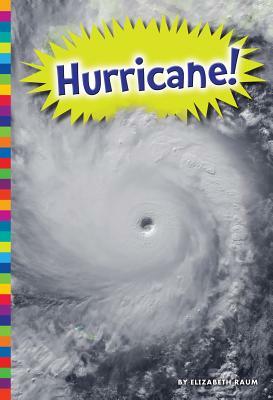 Hurricane! by Elizabeth Raum