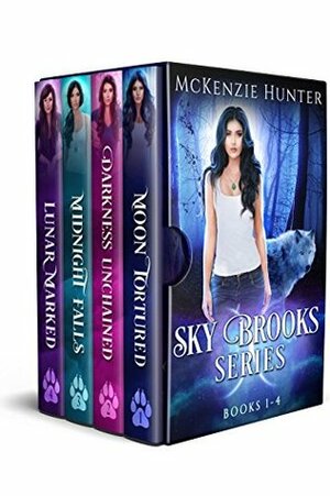 Sky Brooks Series #1-4 by McKenzie Hunter