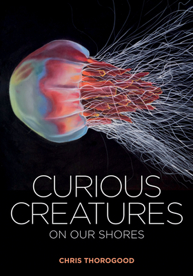 Curious Creatures on Our Shores by Chris Thorogood