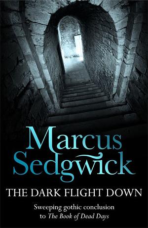 The Dark Flight Down by Marcus Sedgwick