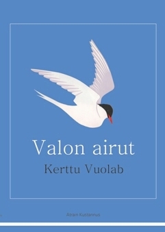 Valon airut by Riitta Taipale, Kerttu Vuolab