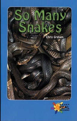 So Many Snakes by Chris Graham