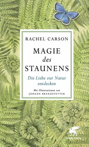 Magie des Staunens: Die Liebe zur Natur entdecken by Rachel Carson