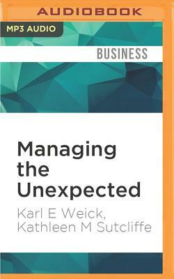 Managing the Unexpected: Resilient Performance in an Age of Uncertainty, 2nd Edition by Kathleen M. Sutcliffe, Karl E. Weick