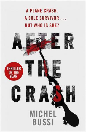 After the Crash by Sam Taylor, Michel Bussi