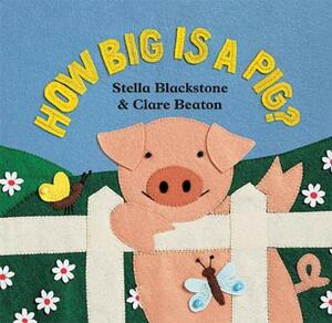 How Big Is a Pig? by Stella Blackstone