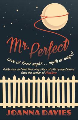 Mr. Perfect by Joanna Davies