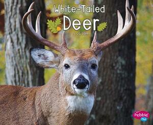 White-Tailed Deer by G. G. Lake
