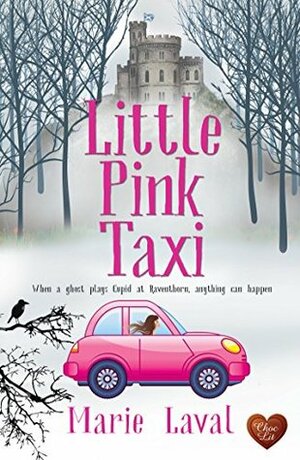 Little Pink Taxi by Marie Laval