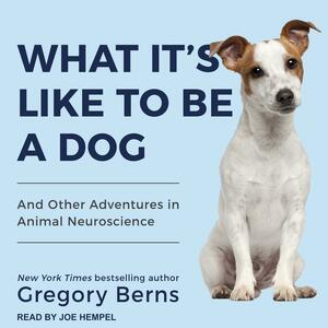 What It's Like to Be a Dog And Other Adventures in Animal Neuroscience by Gregory Berns