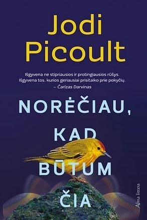 Norėčiau, kad būtum čia by Jodi Picoult