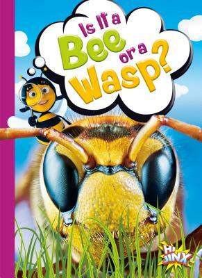 Is It a Bee or a Wasp? by Gail Terp