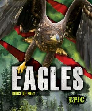 Eagles by Nathan Sommer