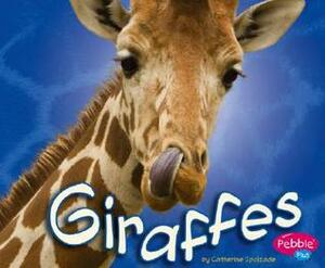 Giraffes by Catherine Ipcizade