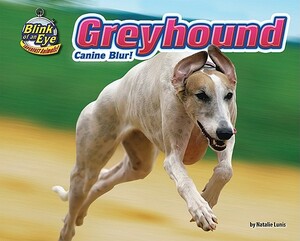 Greyhound: Canine Blur! by Natalie Lunis