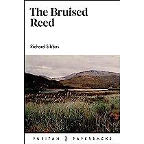 The Bruised Reed by Richard Sibbs