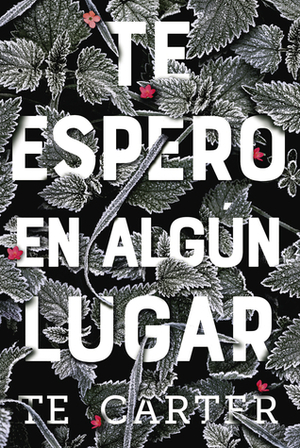 Te espero en algún lugar by T.E. Carter