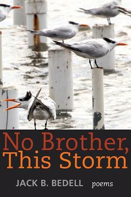 No Brother, This Storm: Poems by Jack B. Bedell