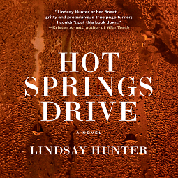 Hot Springs Drive by Lindsay Hunter
