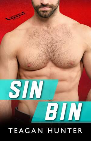 Sin Bin by Teagan Hunter