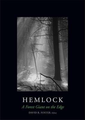 Hemlock: A Forest Giant on the Edge by Benjamin Baiser, Anthony D'Amato