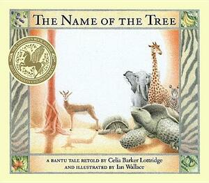 The Name of the Tree: A Bantu Tale Retold by Celia Barker Lottridge