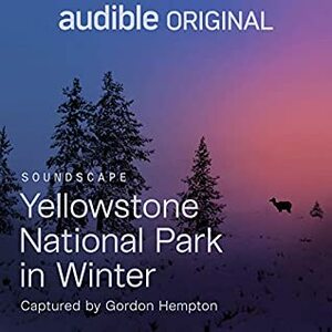 Yellowstone National Park in Winter by Gordon Hempton