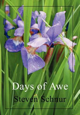 Days of Awe by Steven Schnur