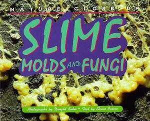 Nature Close Up: Slime Molds & Fungi by Elaine Pascoe