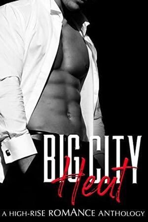 Big City Heat by Stella Williams, Maida Malby, Jodi Payne, Jayce Ellis, Moni Boyce, Lucy Eden, Bree Kraemer, P.E. Kavanagh, Phoebe Alexander, Hazel Storm, Aidy Award, Emily Gray