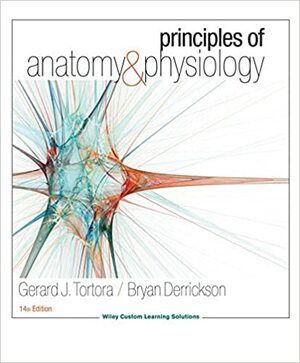 Principles of Anatomy & Physiology by Bryan H. Derrickson, Gerard J. Tortora